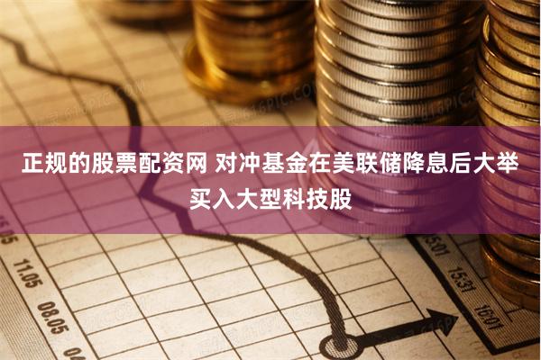 正规的股票配资网 对冲基金在美联储降息后大举买入大型科技股