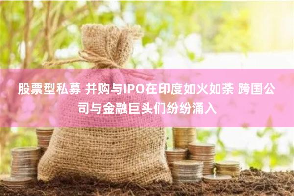 股票型私募 并购与IPO在印度如火如荼 跨国公司与金融巨头们纷纷涌入