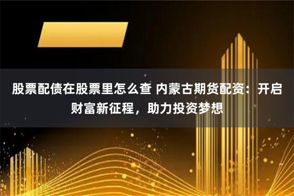 股票配债在股票里怎么查 内蒙古期货配资：开启财富新征程，助力投资梦想